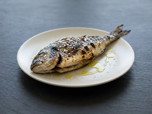 Fish of the day