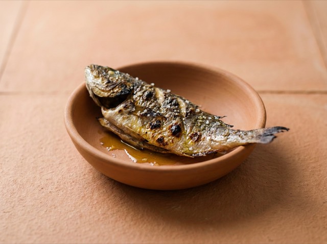 Fish of the day